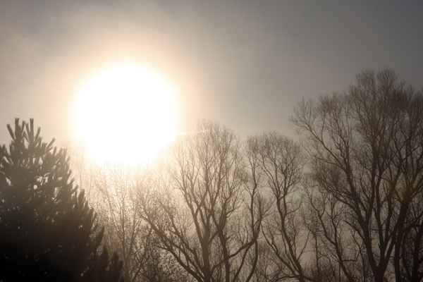 Morgenstimmung