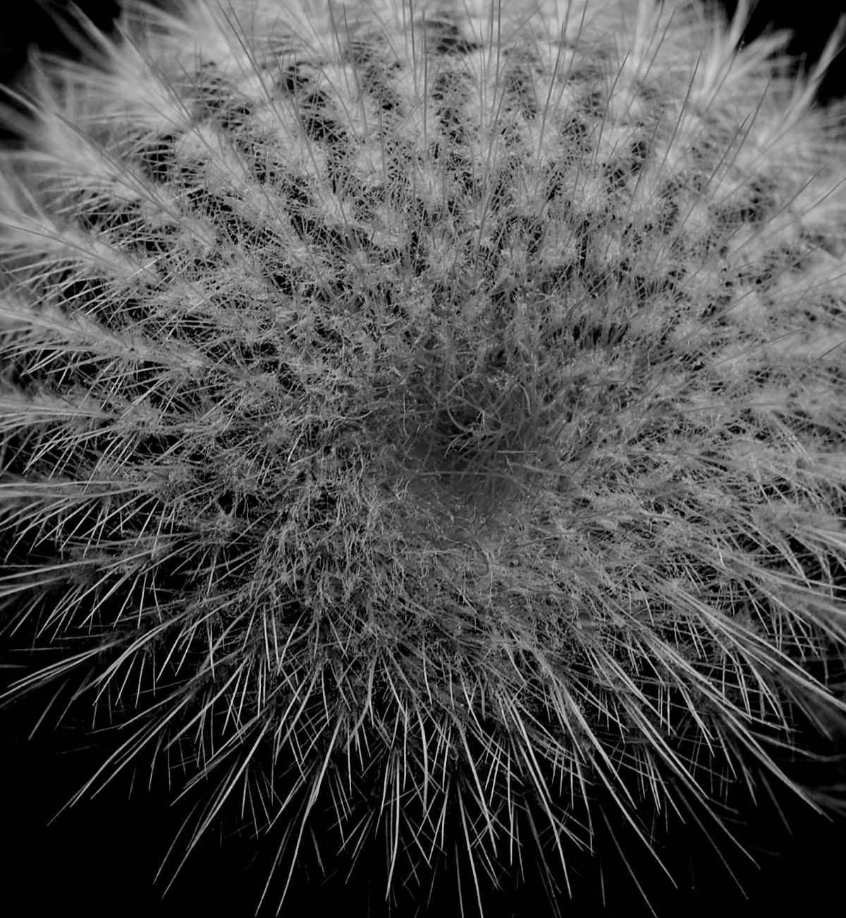 Schwiegermuttersitz 1