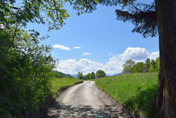 "Wo Licht ist, ist starker Schatten"