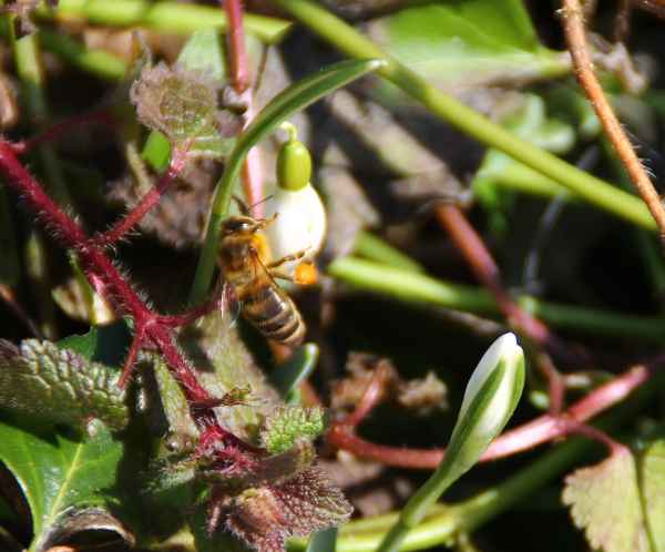 Frisch an`s Werk...02