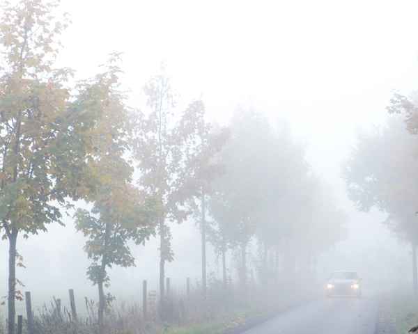 morgens im nebel 2