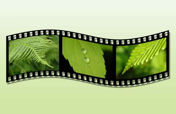 GRÜN - Farbe des Lebens