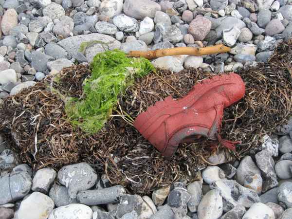 Strandgut