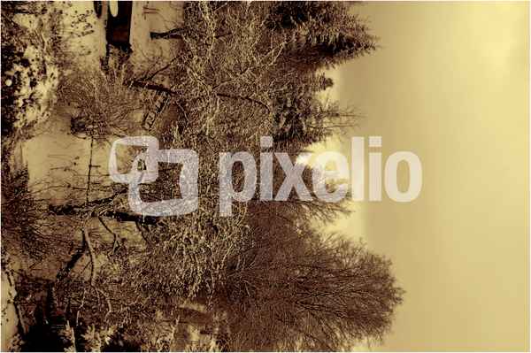Winter 2007