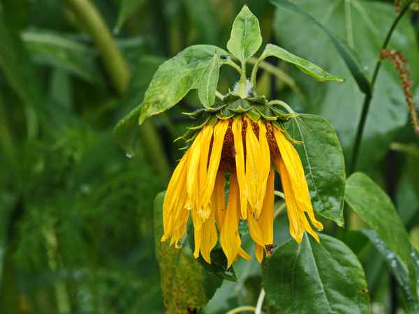 keine schön wetter lage