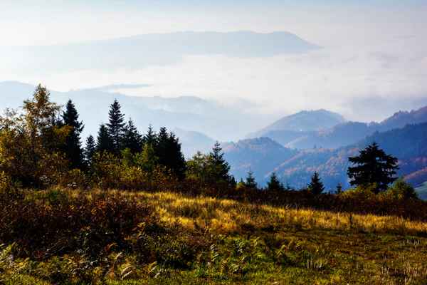 Schwarzwald-Höhen im Herbst