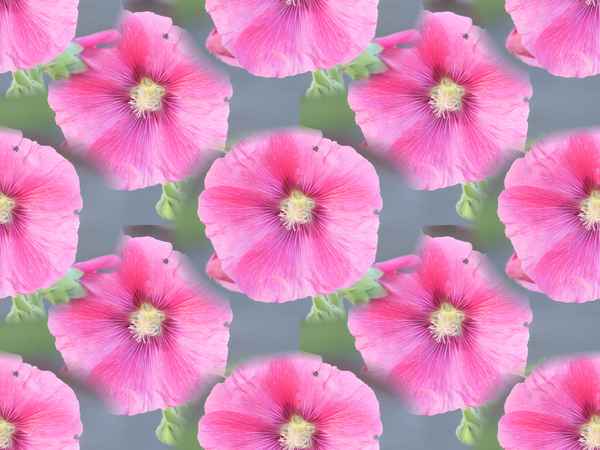 Flower Power