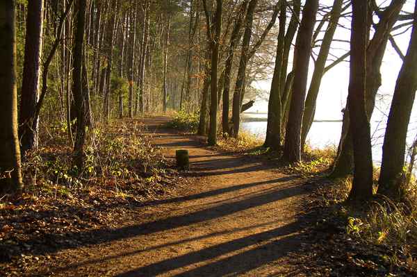 Weg am Dechsendorfer Weiher