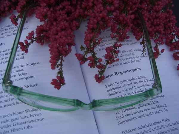 Lesepause 2