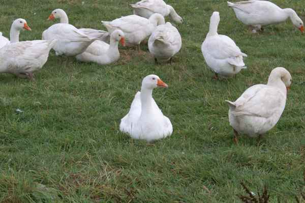 Hier ist die Welt noch in Ordnung