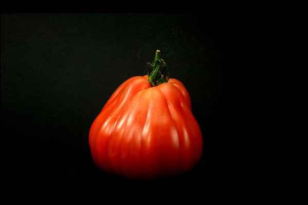 Tomaten 80