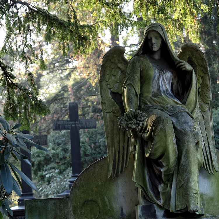 Ich wache über dich