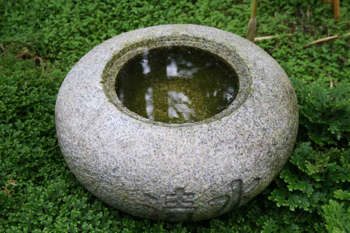 Wasser