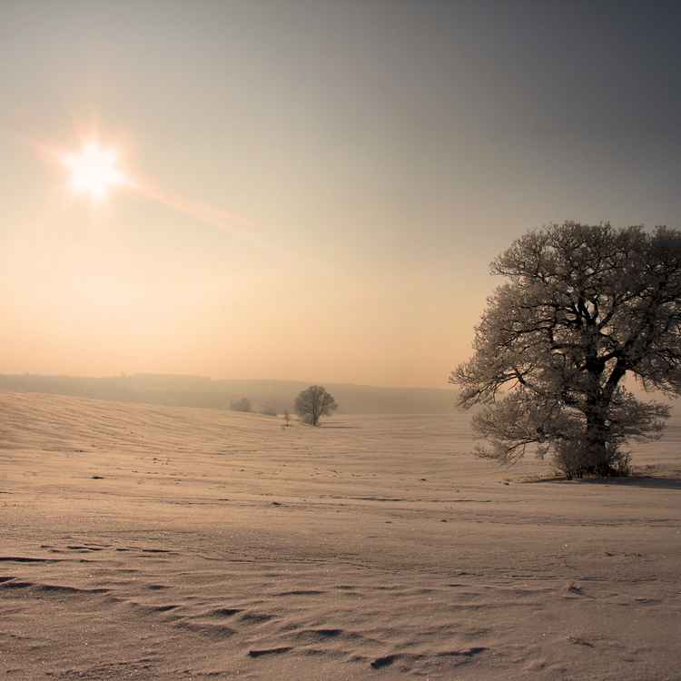 Minus 15 Grad oder Eiswüste
