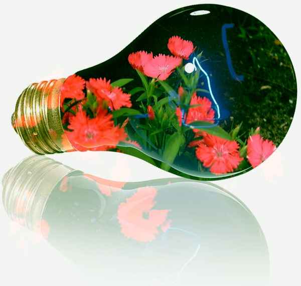 etwas andere Glühbirne