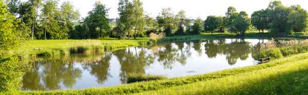 Morgenstimmung am See