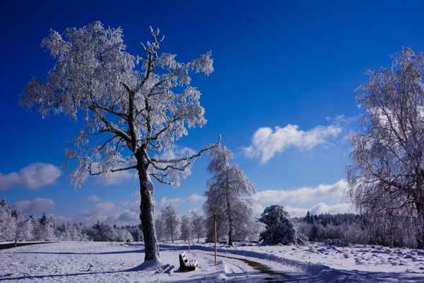 Winterwanderpause