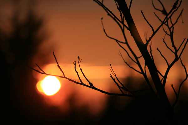 Abendstimmung