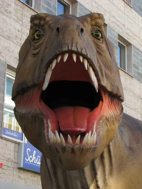 t Rex