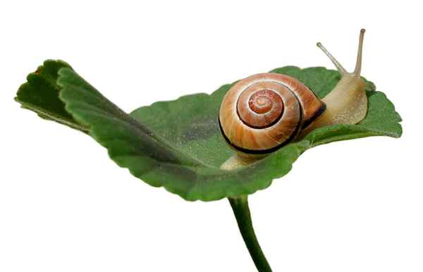 Für heute genug gekrochen