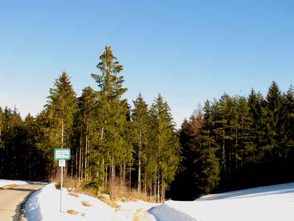 Nur für Waldbegeher ?