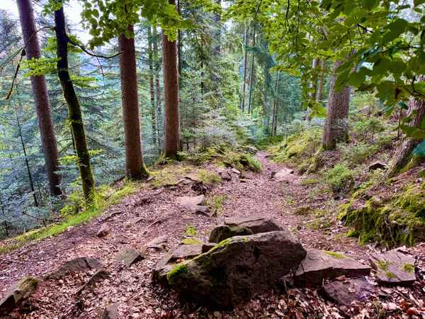 MTB-Trail in Freudenstadt