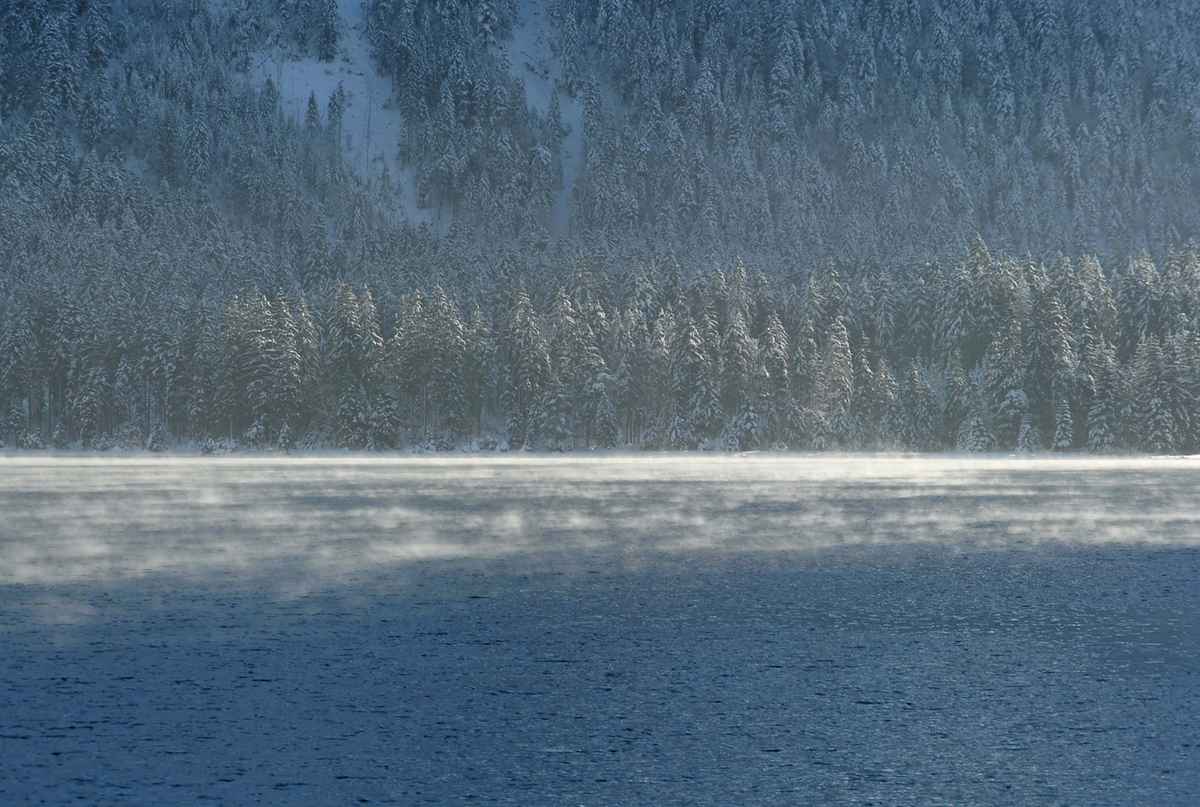 Winter am Plansee