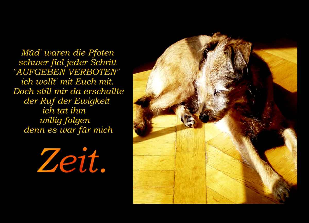 Ruf der Ewigkeit