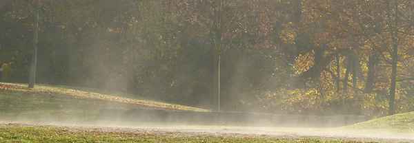 Morgennebel im November