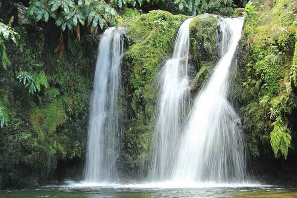 in meinem Garten ;-) 1
