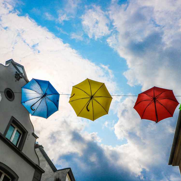 Regenschirme gefällig?