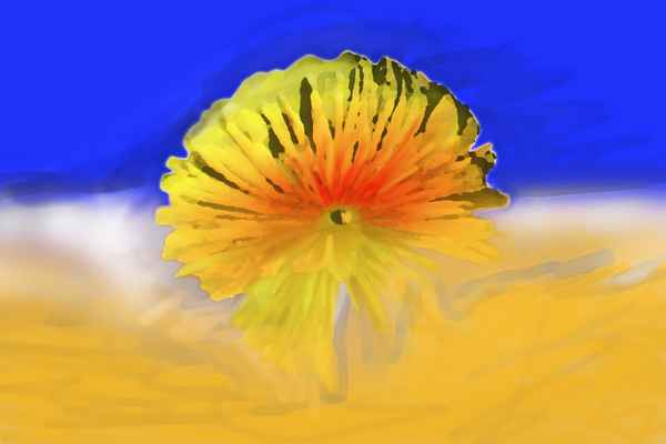Phantasieblume