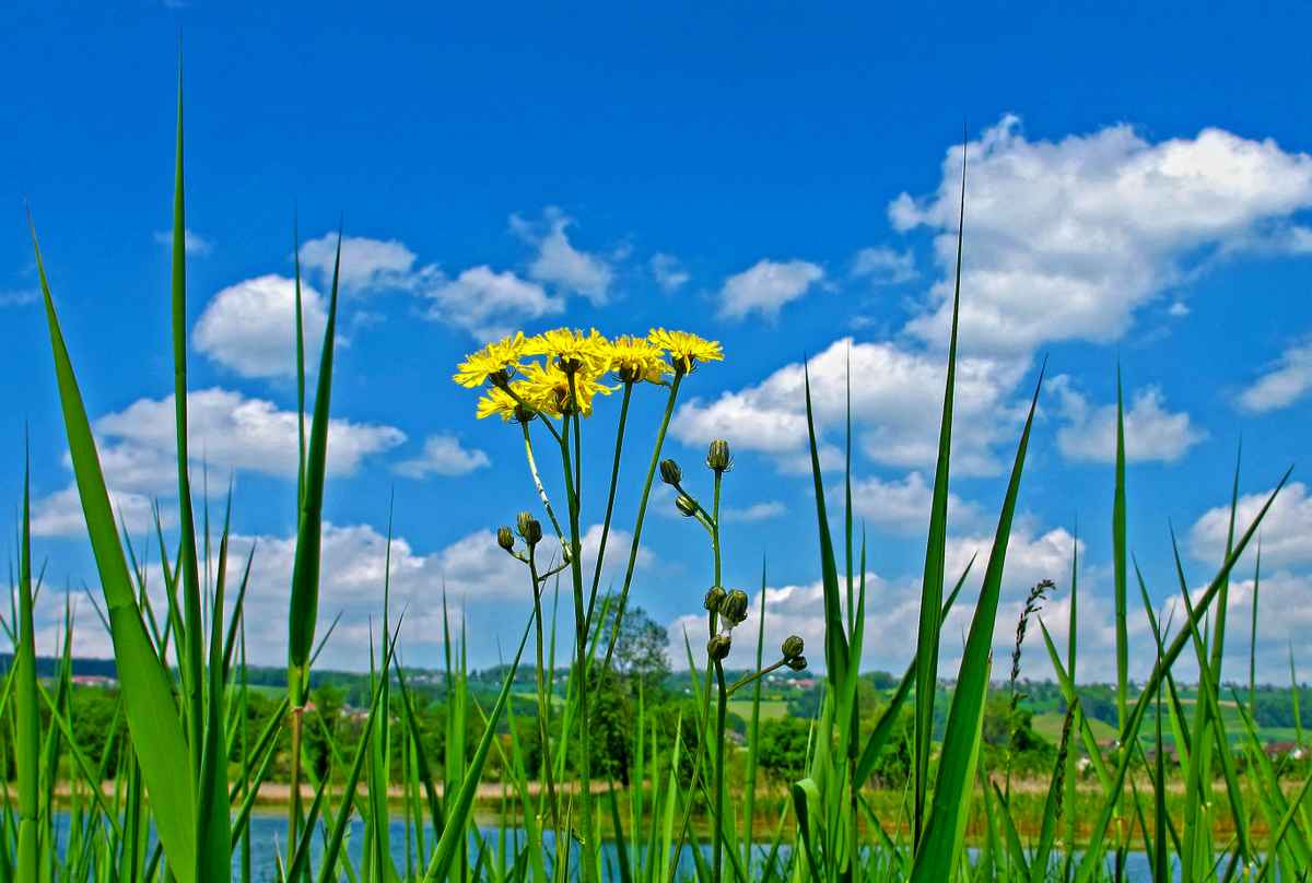 Wann wird es endlich wieder Sommer?
