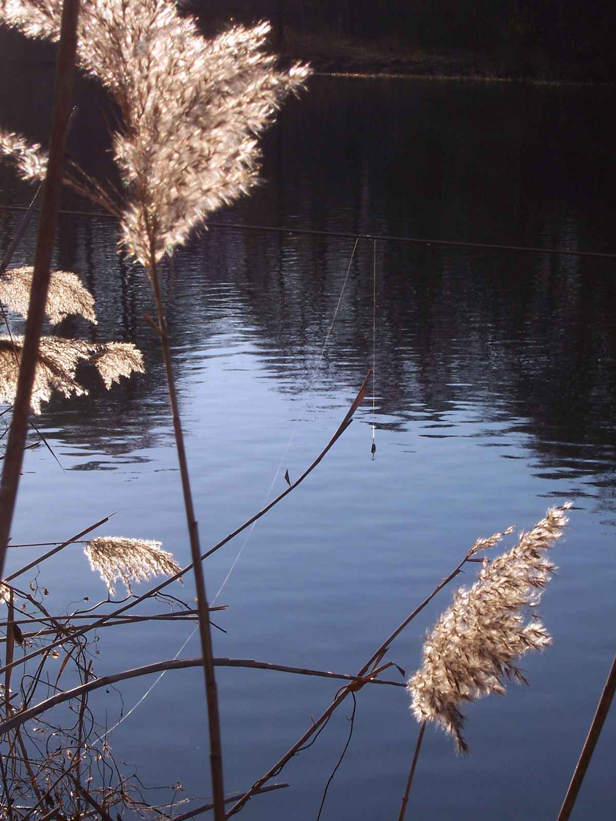 Anglerpech