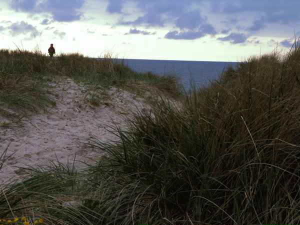 In Dänemarks Dünen (Houstrup) 2