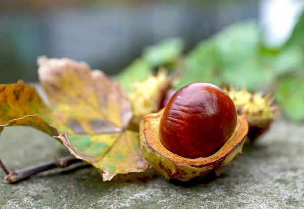 Aufgebrochen