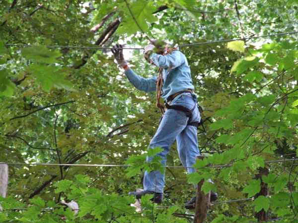 Mutig in luftiger Höhe   ( Hochseilgarten )