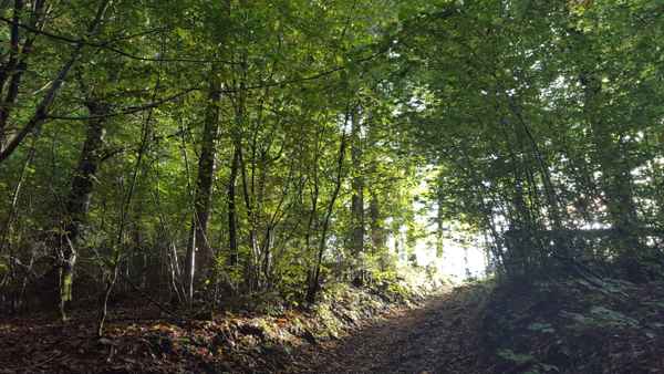 Licht am Ende des Tunnels