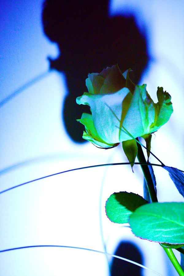 Farbe und Schatten