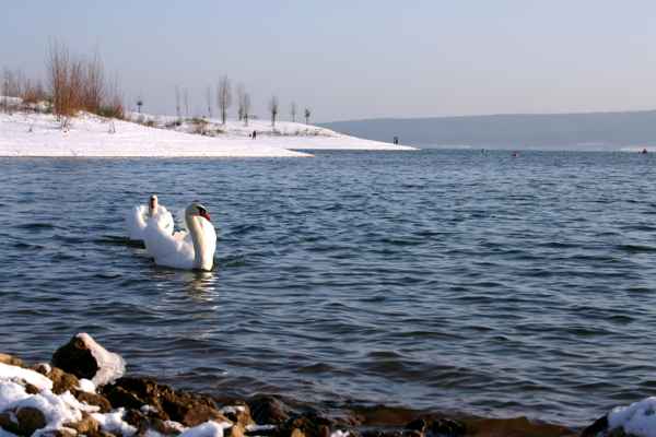 Am See 2