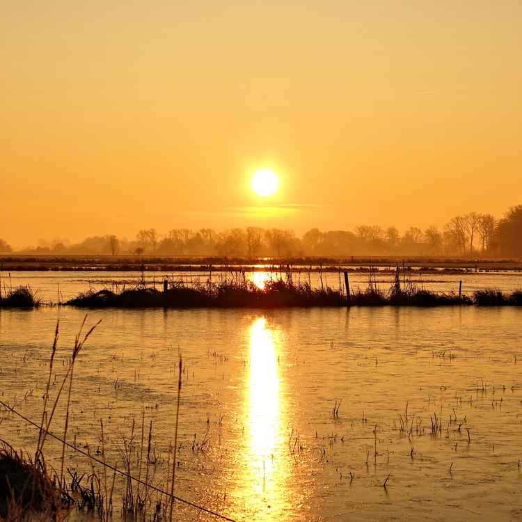 Borgfelder Dezember-Sunrise