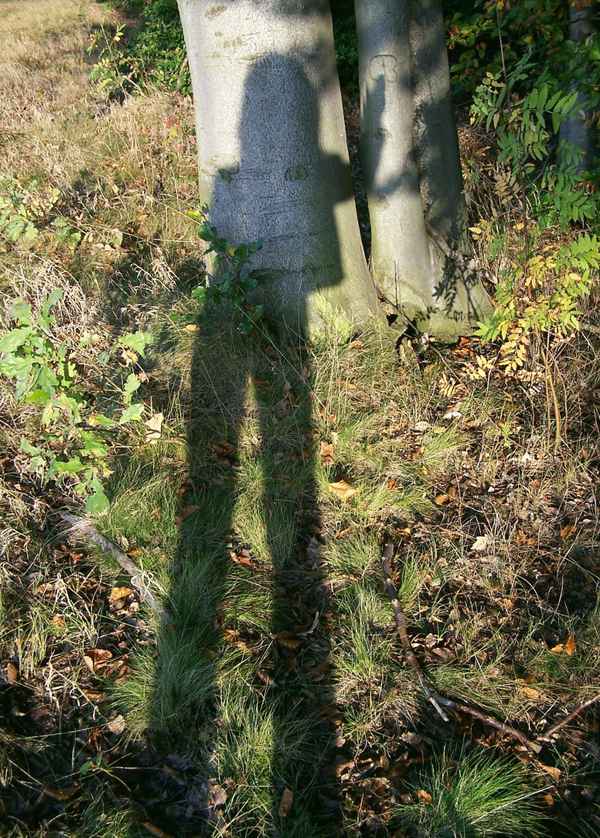 Schatten ... (2)