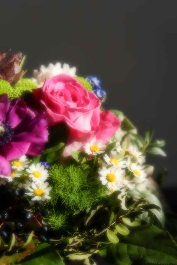 Leuchtende Blüten