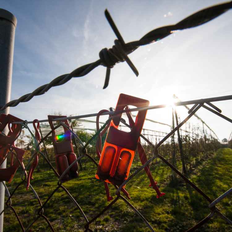 Stacheldraht, Maschendratzaun und Schädlingsbekämpfungsmittel im Herbstlicht