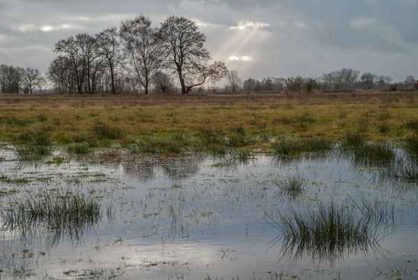 Borgfelder Wümmewiesen