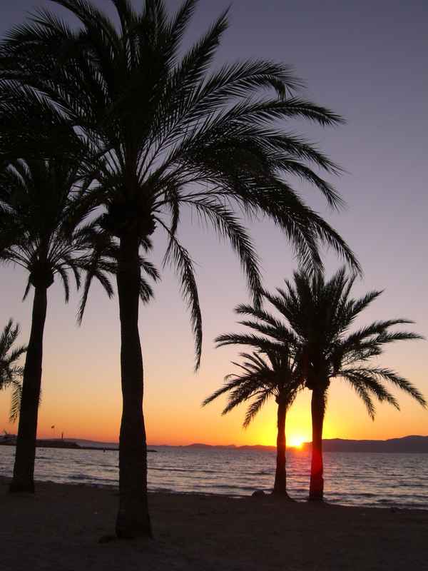 Sonnenuntergang in El Arenal