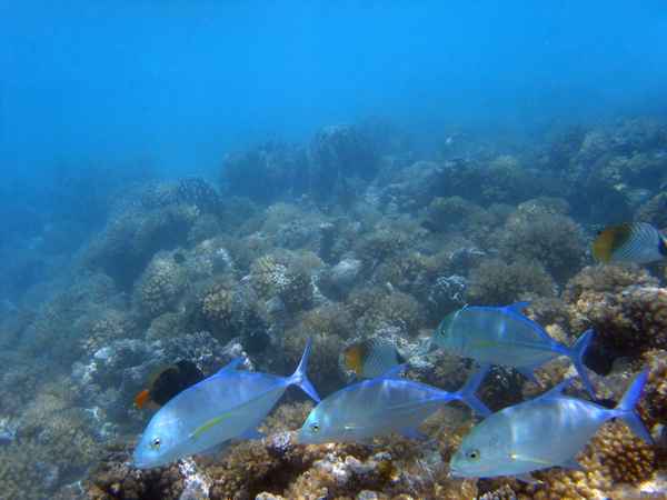 LucB7_IMG_3988