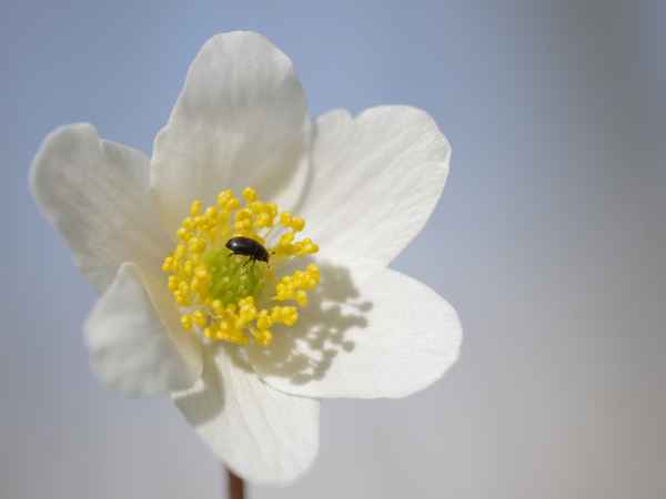 Der Frühling ist zurück