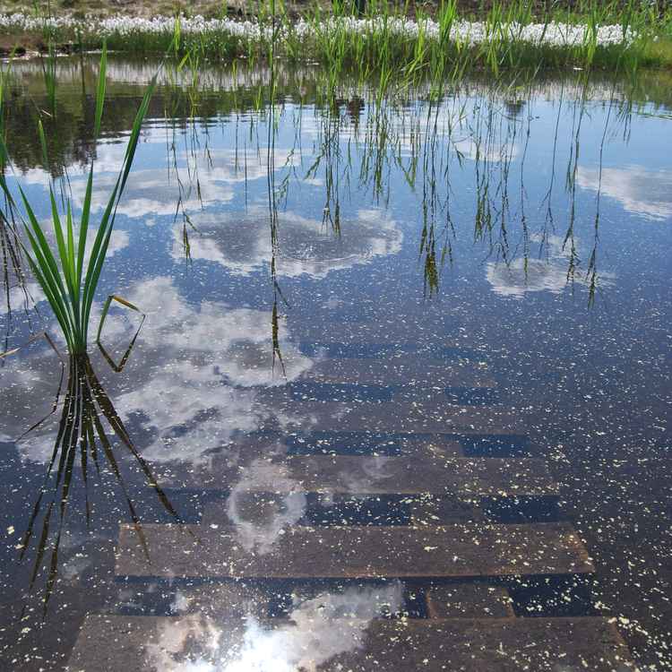 Über,unter und auf dem Wasser