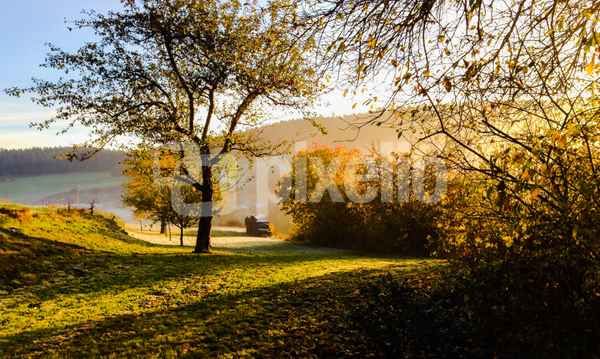 Morgensonne im Herbst